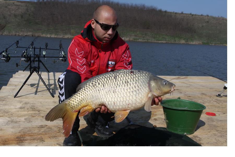 Diverse Partide - magura 9.jpg